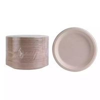 Assiettes jetables en canne à sucre 100 % compostables et biodégradables sans PFAS pour les voyages