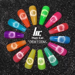 Private Label Nail Supplier Soak Off Neon Color Glitter 12D Cat Eye Gel Nail Polish