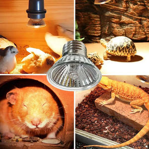 Meilleure qualité pas cher prix Mr11 Mr16 12v 10w 15w 20w 35w <span class=keywords><strong>Spot</strong></span> halogène Mr11 <span class=keywords><strong>Ampoule</strong></span> halogène - Product Image 6