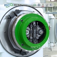 Machine à granulés de bois RICHI CE Ring Die - Granulateur de biomasse économique pour pin, EFB et bois de caoutchouc