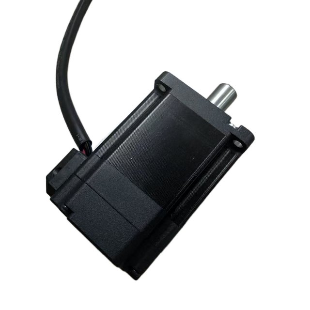 Frame Size 60mm Nema 24 60BLS Series RECTANGLE  IE1 Electric Bldc Motor 3000rpm 4000rpm Upto 200w