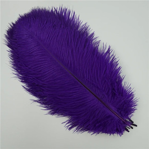 Fournisseurs de plumes en gros Décoration de plumes d'autruche artificielles teintes en plumes de fête pour costumes de carnaval