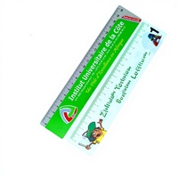 Règle en PVC personnalisée avec impression sérigraphique, forme et couleur sur mesure, style tendance pour usage promotionnel, marque GIFTWAY, MOQ 500 pièces