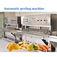 2000 Kg/u Industriële Mango Schilmachine Volautomatische Intelligente Fruit-En Groenteschilmachine