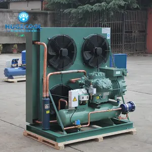 Refrigerator freezing cold room refrigeration unit condensing unit