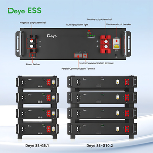 Deye Lifepo4 Pil 48v 51.2v 100ah 200ah 5.12kwh Raf Montajlı Lityum Pil Lipo Spring Serisi Se-g10.2 Ev Enerji Paketi için - Product Image 2