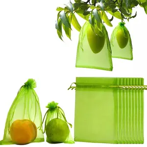 Mango Fruit Protection Bag/fruit Cover Mango Bag/apple Growing Bags