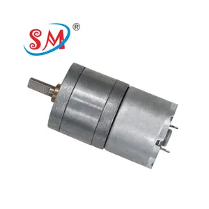 Hoog Koppel Borstel Dc Motor 25-310 Borstel 6V Dc Elektrische Tandwielmotor 12V Voor Elektrische Auto Conversie Kit