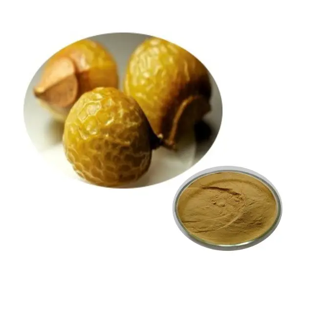Approvisionnement d'usine d'extrait de Saponins de haute qualité, en vrac d'extrait de Sapindus 30%-80% de Saponins de noix de savon