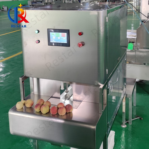 Tự động hiệu suất cao xoài lột máy trái cây rỗ và <span class=keywords><strong>coring</strong></span> với PLC động cơ và động cơ 220V - Product Image 5