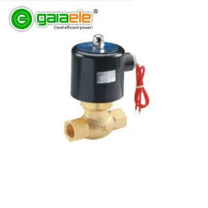 2W UD S UW S 2S Serie Solenoide Valvola Normalmente Chiusa 1/4 ",1/8",1/2 ",3/4",1 "220V AC, DC24/12V