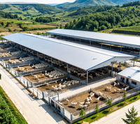Bâtiment préfabriqué en acier clé en main pour bétail/ovins avec aménagement flexible