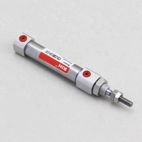 Cylindre pneumatique miniature double effet en acier inoxydable de haute qualité RIH