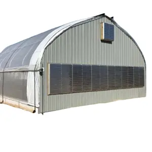 Túnel agrícola Skyplant, invernadero de privación de luz completamente automatizado, invernadero opaco de un solo tramo