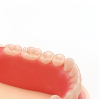 Prothèses dentaires amovibles Ecolab Complete Full Denture Premium, aspect naturel, métal, haute performance d'adsorption, pour edentés
