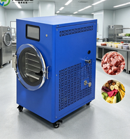 Hoge-efficiëntie roestvrijstalen kleine vriesdroogmachine voor kleine schaal fruit snoep lyofilisatie kleine vriesdroogmachine