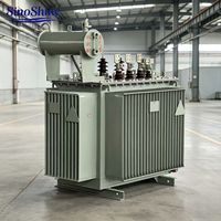 SinoShine 160KVA Üç Fazlı Yağ Soğutmalı dağıtım transformatörü 10KV/0,4KV Dyn11 S13 Bakır Sarım Düşük Kayıp IEC Dış Mekan
