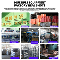 Emballage sous blister finition mate, surface mate givrée, anti-reflet, emballage personnalisé thermoformé en PET/PVC/PP/PS, recyclable, biodégradable