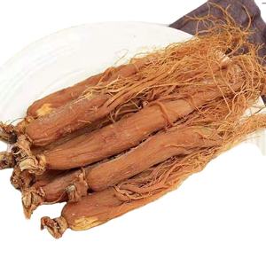 Ücretsiz örnek kore Ginseng kore kırmızı satılık kore kırmızı Ginseng - Product Image 1
