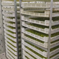 Droogkast voor gedroogd fruit, groenten, vlees, tomaten, bananen, druiven, groenten en jerky