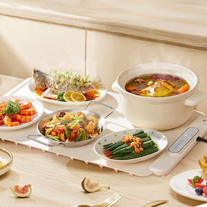 Raybin 2025 Nueva Bandeja Calentadora de Alimentos Plegable y Portátil de 60*40cm con Temporizador de 1-4 Horas, Tapete de Silicona para Alimentos - Product Image 2