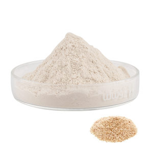 Toptan organik psyorganic kabuğu tozu 95% 98% <span class=keywords><strong>99</strong></span>% psykabuğu tozu - Product Image 2