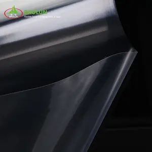 Lamination Factory Wholesale Tray Lamination Evoh Base Film Thermo Forming PP EVOH Films PE/EVOH/PE Film