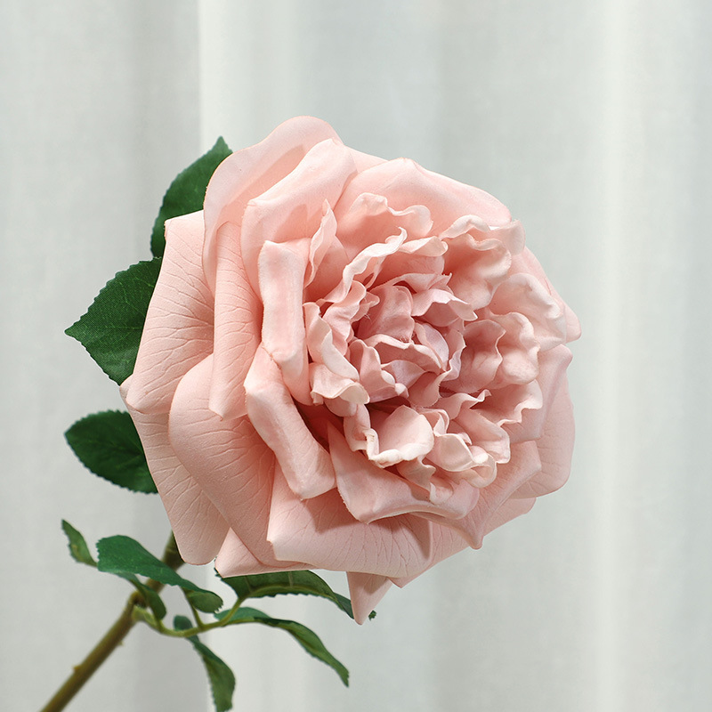 Peach pink