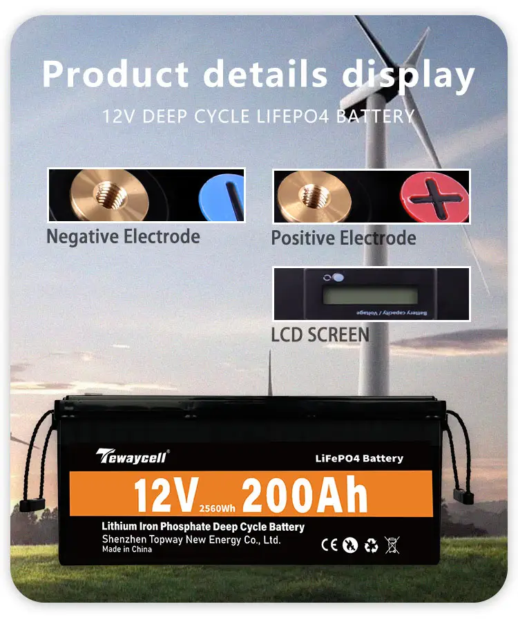 Tewaycell Personalizar 12V 100Ah 200ah 300Ah Almacenamiento de energía solar Lifepo4 Paquete de batería para carrito de golf Rv Camping