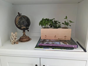 Kit de démarrage de jardin d'herbes classique, <span class=keywords><strong>basilic</strong></span>, fleurs artificielles, pots DIY, terreau, design unique pour la maison, la cuisine, le bureau - Product Image 3