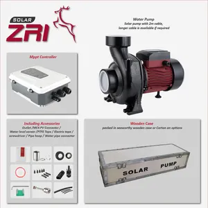 ZRI MPPT denetleyici 2/3/4 inç 3 Hp tarım için güneş pompaları güneş yüzey su pompası sistemi