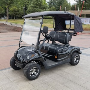 High Quality 2 Seater Battery or <strong>Petrol</strong> Motorised <strong>Golf</strong> Cart <strong>Buggy</strong> That with Electric or Gas Power <strong>for</strong> <strong>Sale</strong> - Product Image 6