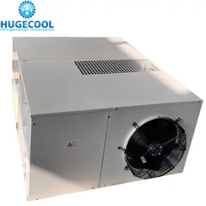 Small cold room used easy installing monoblock refrigeration condensing unit and fan coolers united in one