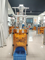 Machine d'emballage automatique pneumatique à scellage latéral avec pompe à piston à valve rotative pour sachets de produits alimentaires, shampoings, crèmes, onguents et sauces