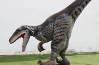 Costume de dinosaure Velociraptor réaliste et personnalisé pour parc d'aventure, avec structure métallique, pour usage intérieur (centre commercial, aéroport)