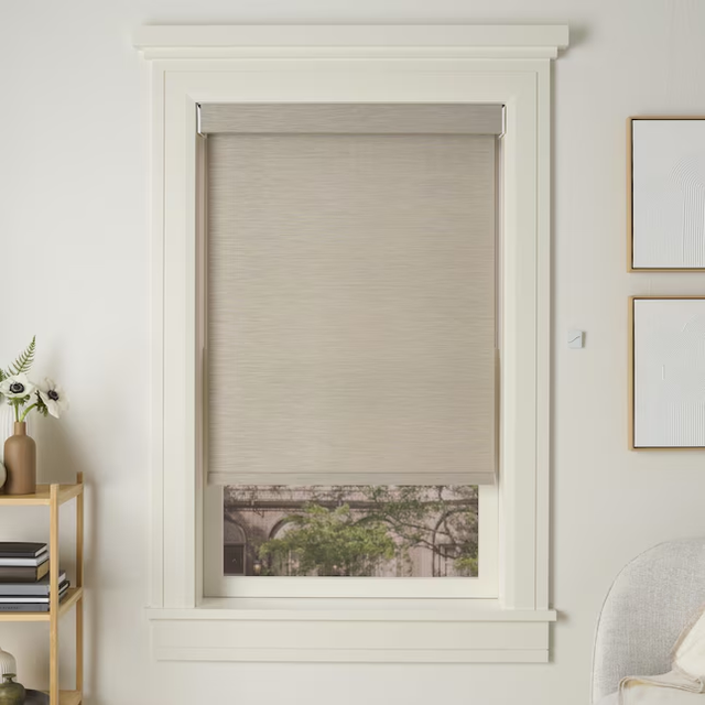 Roller Shades Fabric Window Covering Blinds Home Decor Living Room Office Light Control Privacy Blackout UV Protection Modern