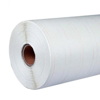 Papier isolant NMN-P de qualité supérieure pour les applications électriques et à haute température avec des matériaux stratifiés flexibles de classe H