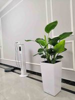 Grands pots de plantes décoratifs en plastique pour usage extérieur Forme de fleur/plante verte émaillée pour usage au sol Centres commerciaux pour bonsaï