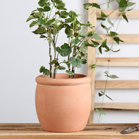 Planteur de sol décoratif de jardin, maison, style rustique, en céramique, personnalisé, bon marché, pots de fleurs, pièces