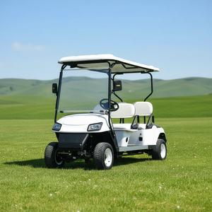 Voiturette de golf électrique 4-6 places avec sièges de luxe pour attraction touristique - Product Image 5