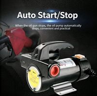Pompe de transfert de carburant diesel électrique 12V 24V 220V, pompe à huile portable auto-amorçante avec tête de pompe en fonte pour fût et réservoir