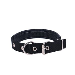 Collier pour chien en nylon de taille S, 48 cm x 2 cm, personnalisé, avec boucle en métal robuste - Product Image 2