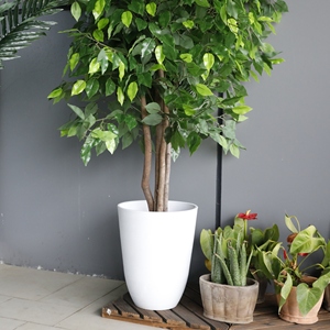 <span class=keywords><strong>Pot</strong></span> de plante blanc Worth <span class=keywords><strong>Pot</strong></span> de <span class=keywords><strong>fleur</strong></span> <span class=keywords><strong>en</strong></span> plastique de 11.5 pouces motif de tréfilage grands pots ronds blancs pour intérieur extérieur - Product Image 2