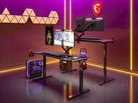 Bureau debout électrique ergonomique moderne à hauteur réglable RGB, table élévatrice en bois et métal, un moteur, 2 niveaux