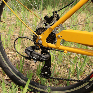 Vélo de luxe chinois Long John à 2 roues, vélo cargo électrique, vélo électrique à chargement frontal, vélo de marchandises à <span class=keywords><strong>deux</strong></span> roues <span class=keywords><strong>pour</strong></span> les <span class=keywords><strong>personnes</strong></span> - Product Image 3