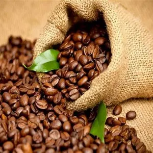 Grãos de café torrados 100% arábica de marca própria grãos de café expresso italianos Yirgacheffe grãos de café inteiros 1000g