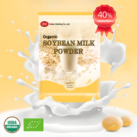 100% Natural Nutritious Breakfast Rush Leche de soja instantánea en polvo Leche de soja orgánica en un sabor salado Textura dura Empaquetado en una bolsa