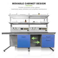 Table de laboratoire Cartmay pour incubateur, structure en C, entièrement en acier, mobilier de laboratoire avec armoire suspendue