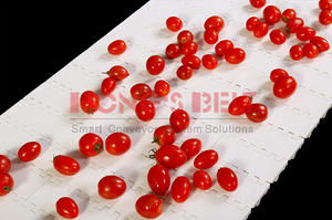 Hongsbelt Platte Top Modulaire Transportband Voor Fruit Industrie - Product Image 2