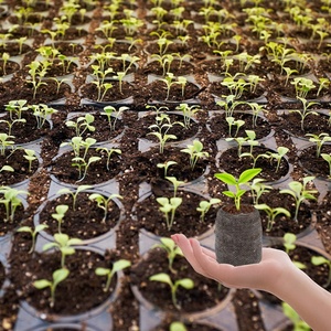 Wholesale 5CM Coco <b>Peat</b> Prllets Disc Moss Seed Starting Plugs Pallet Seedling Soil Block Coconut Coir Pellets - Product Image 6